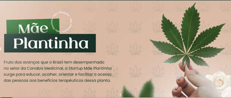 Câmara de Inovação recebe startup que estuda uso da cannabis para fins terapêuticos