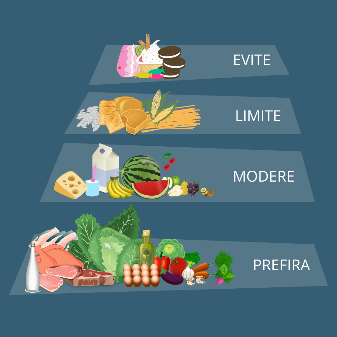 Pirâmide Alimentar Evite Limite Modere Prefira Lariisa 2383